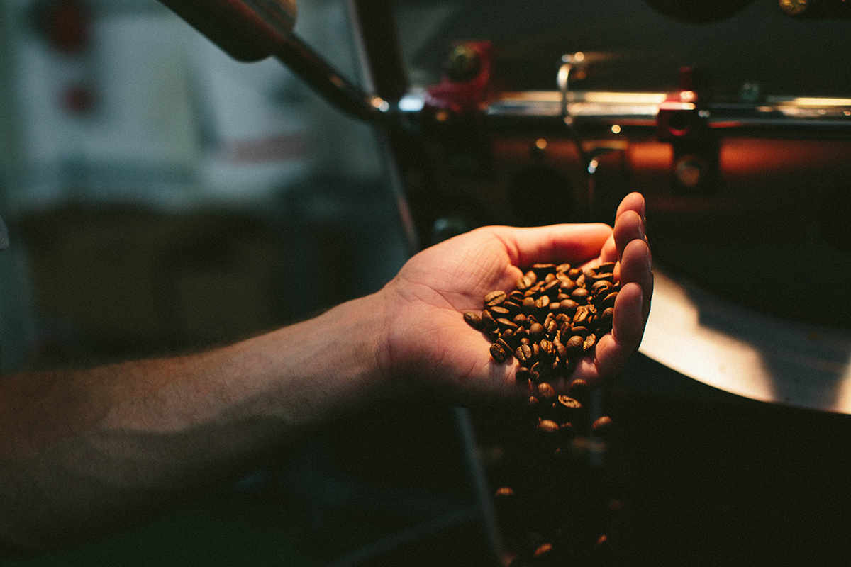 Mold, Mycotoxins, and Purity Claims in Coffee