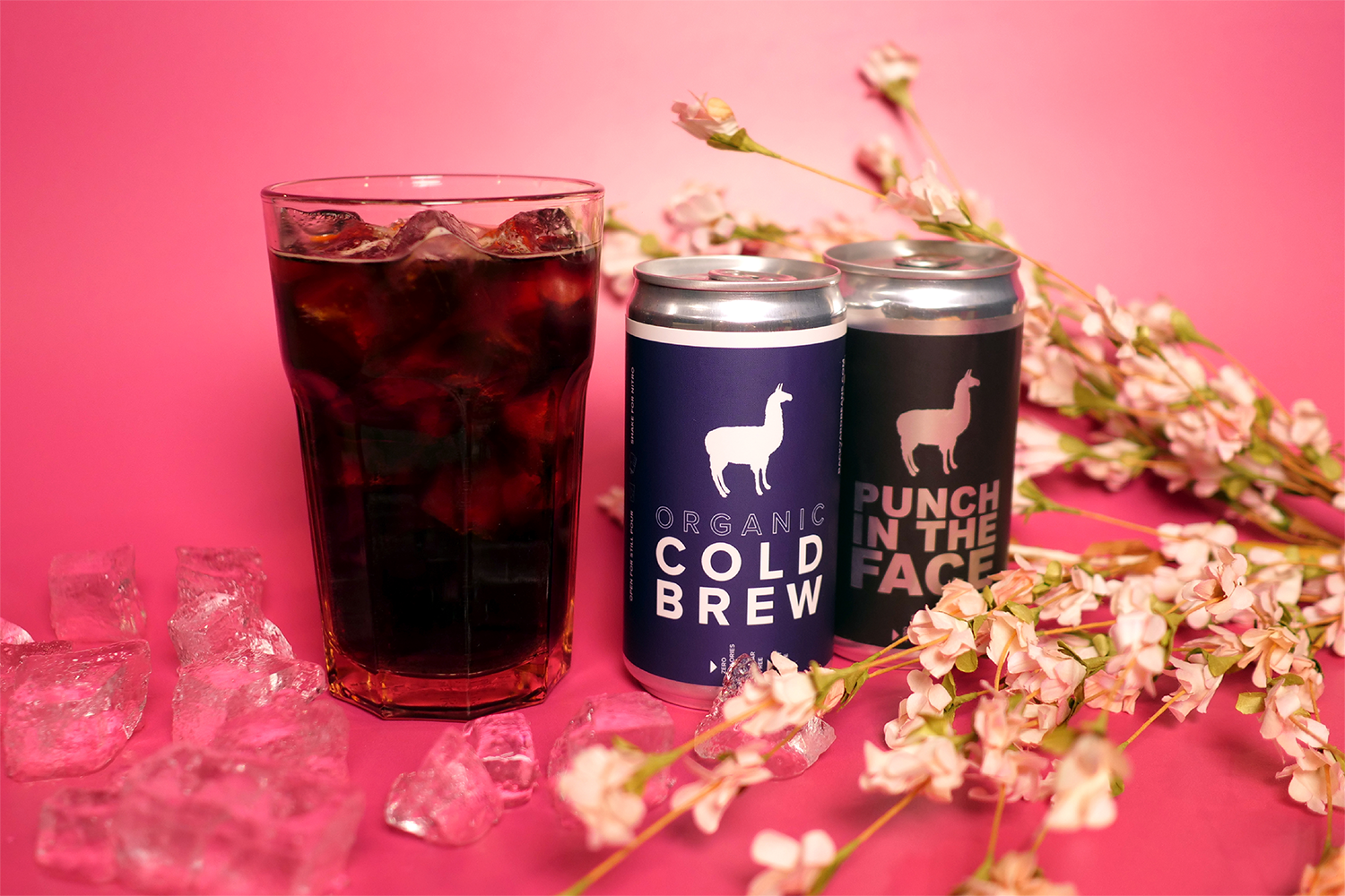 Image of glass of cold brew and cold brew cans with floral pink background