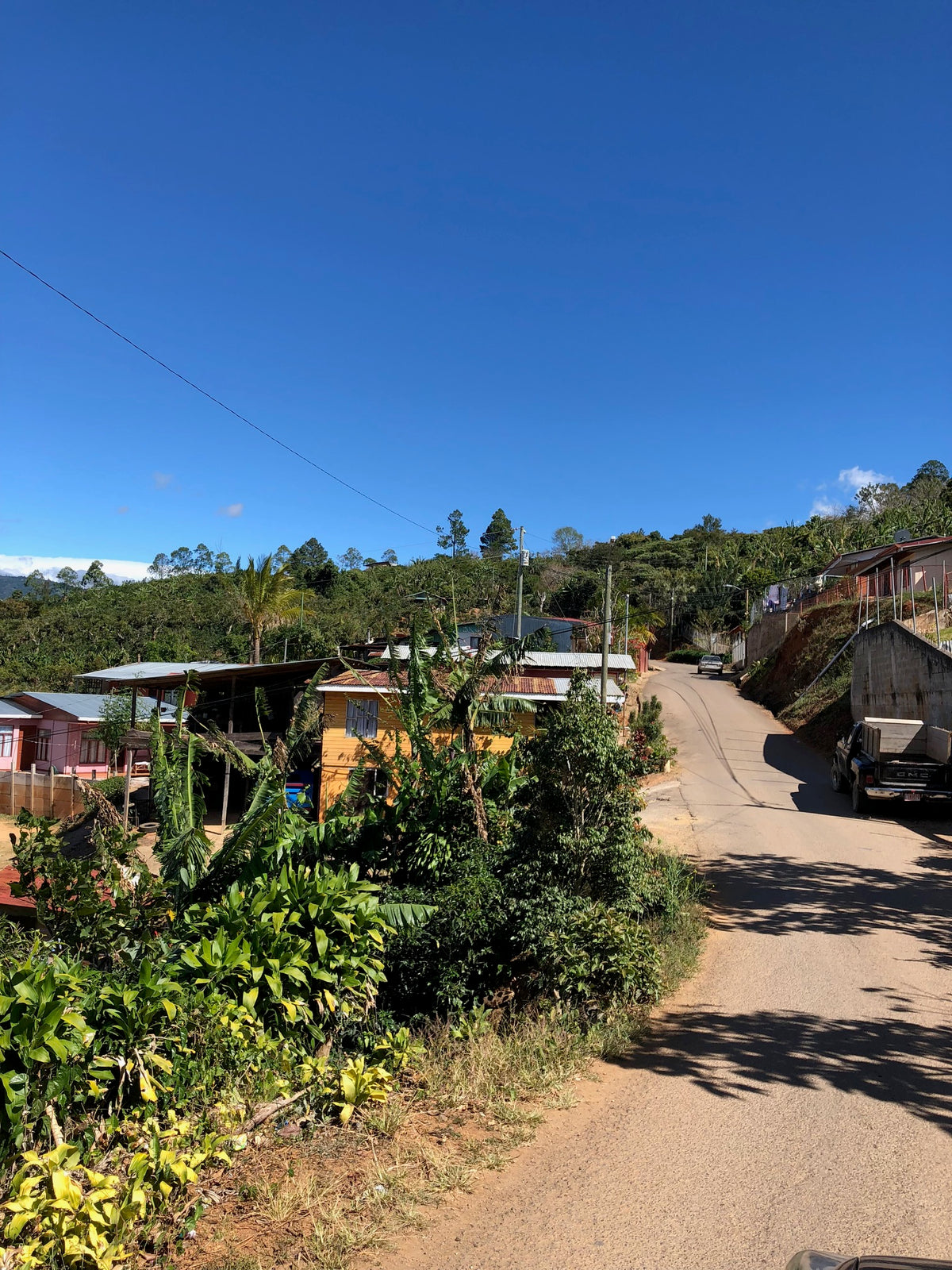 Image of Costa Rica Dota