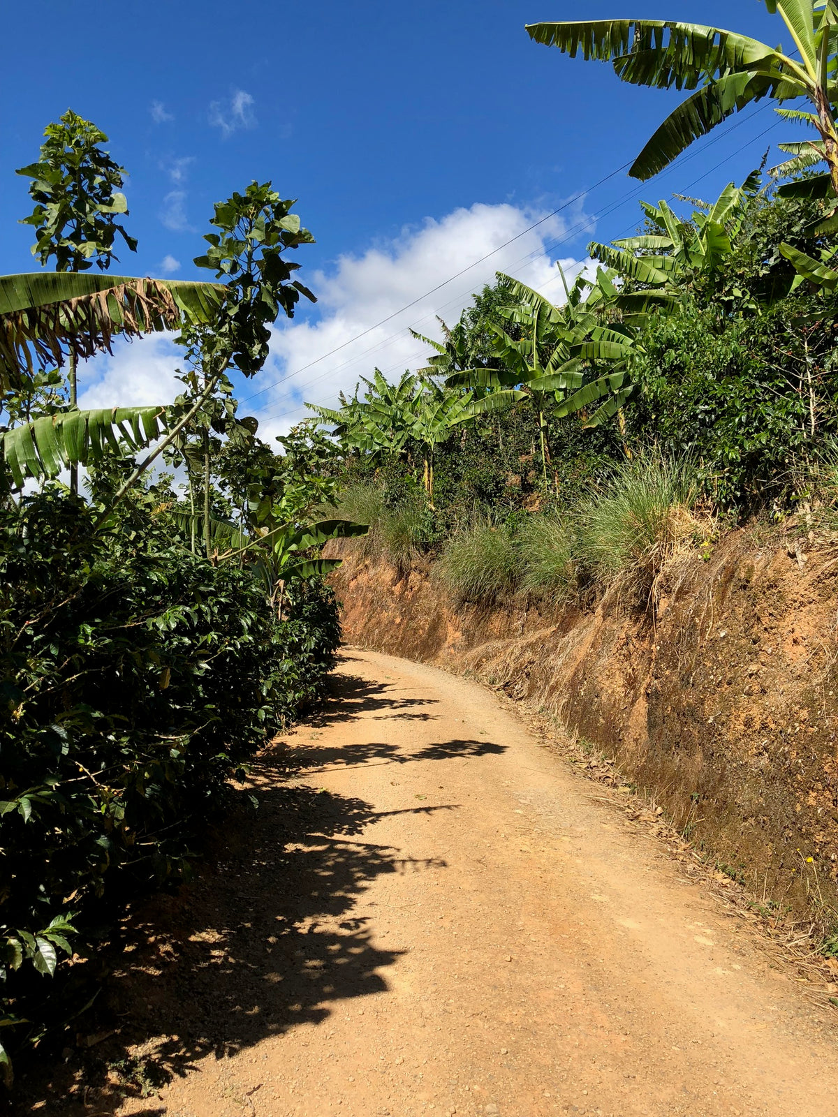 Image of road in Costa Rica Dota