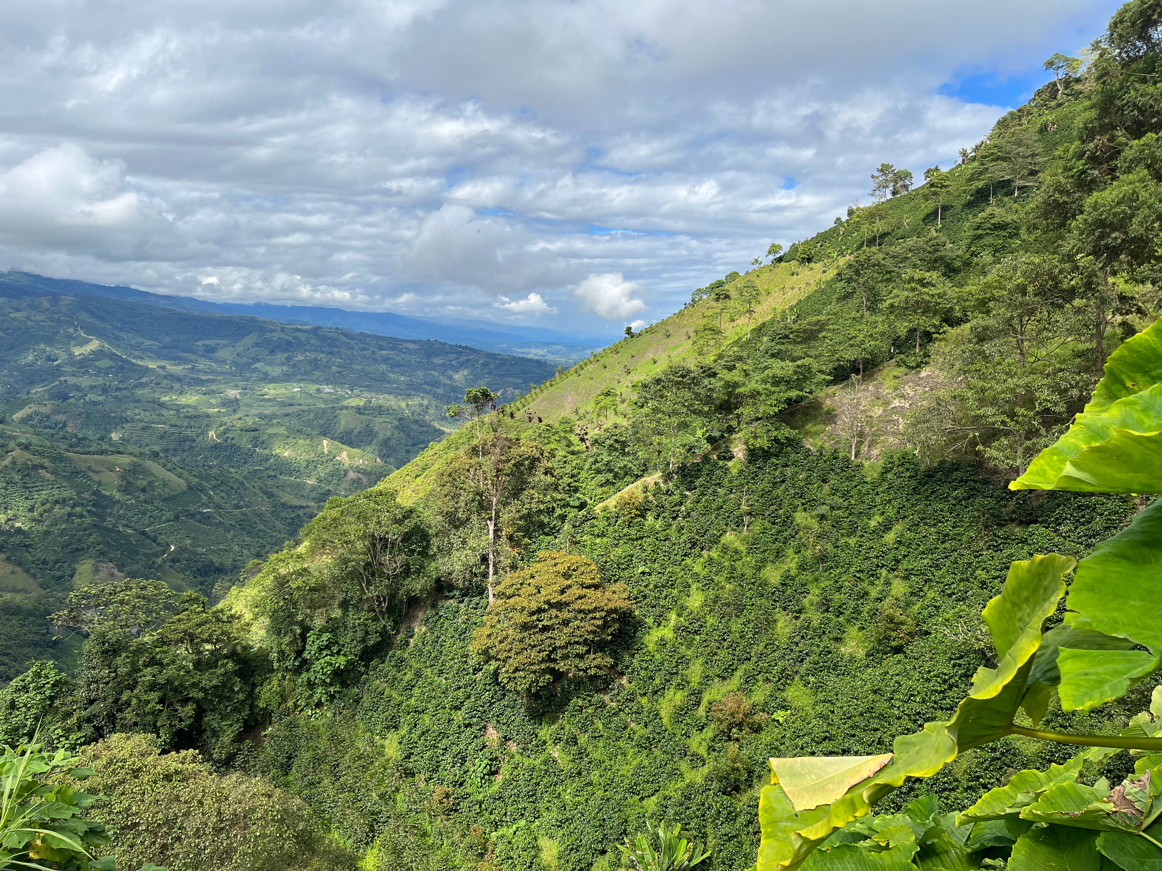 image of the steep slopes at El Paraiso