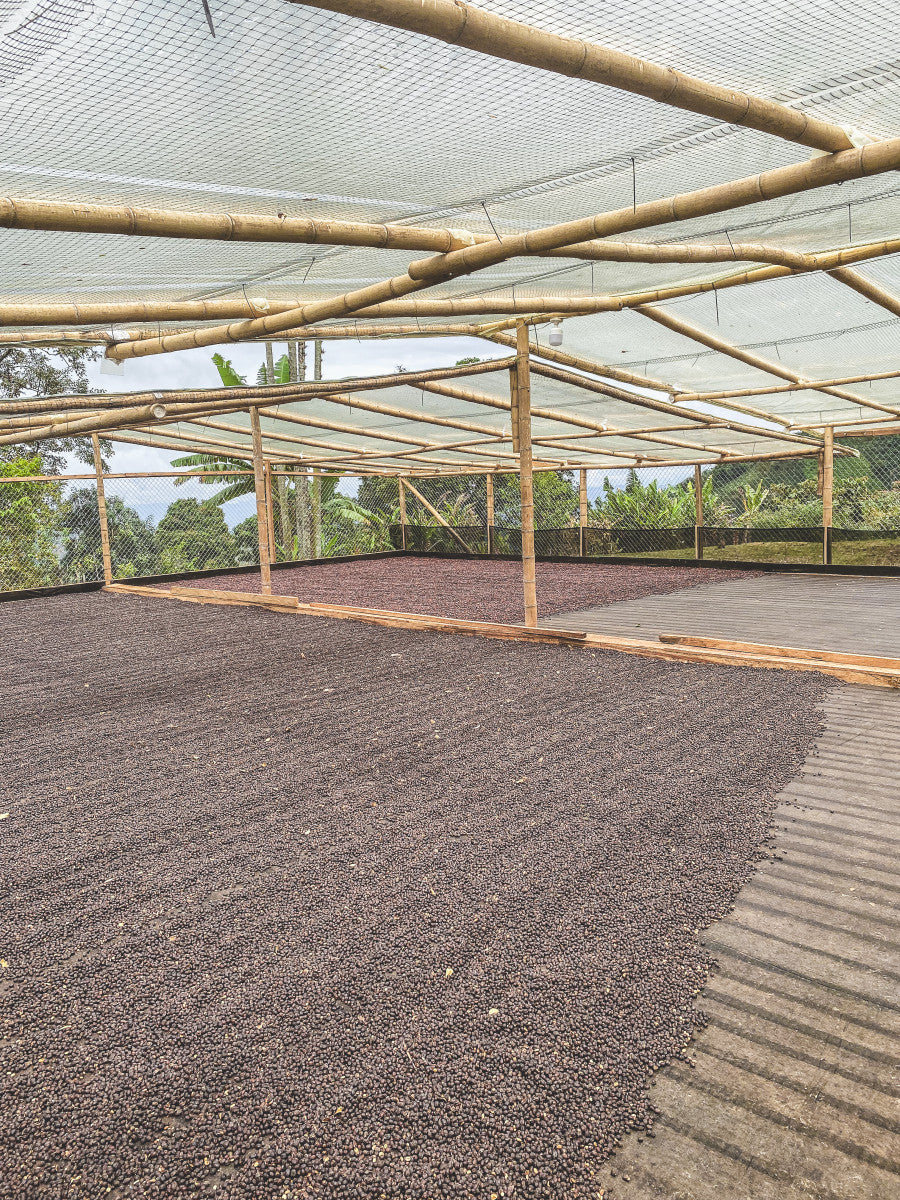 image of drying patio with naturals