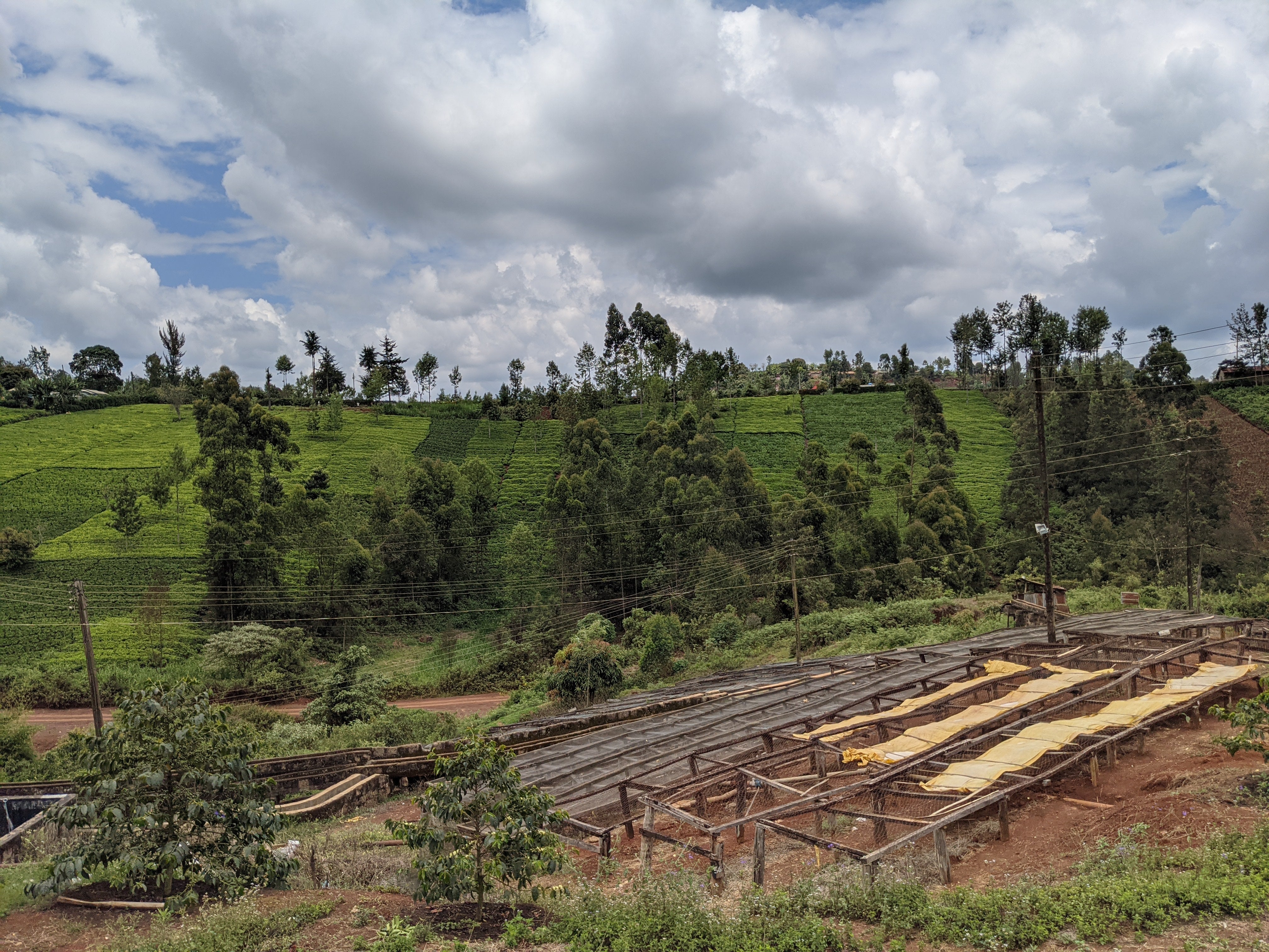 image of Karatu drying beds
