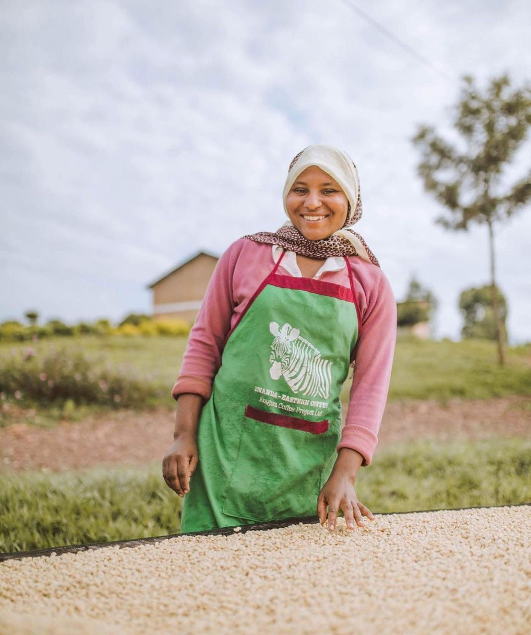 image of coffee farmer with washed coffees on raised beds