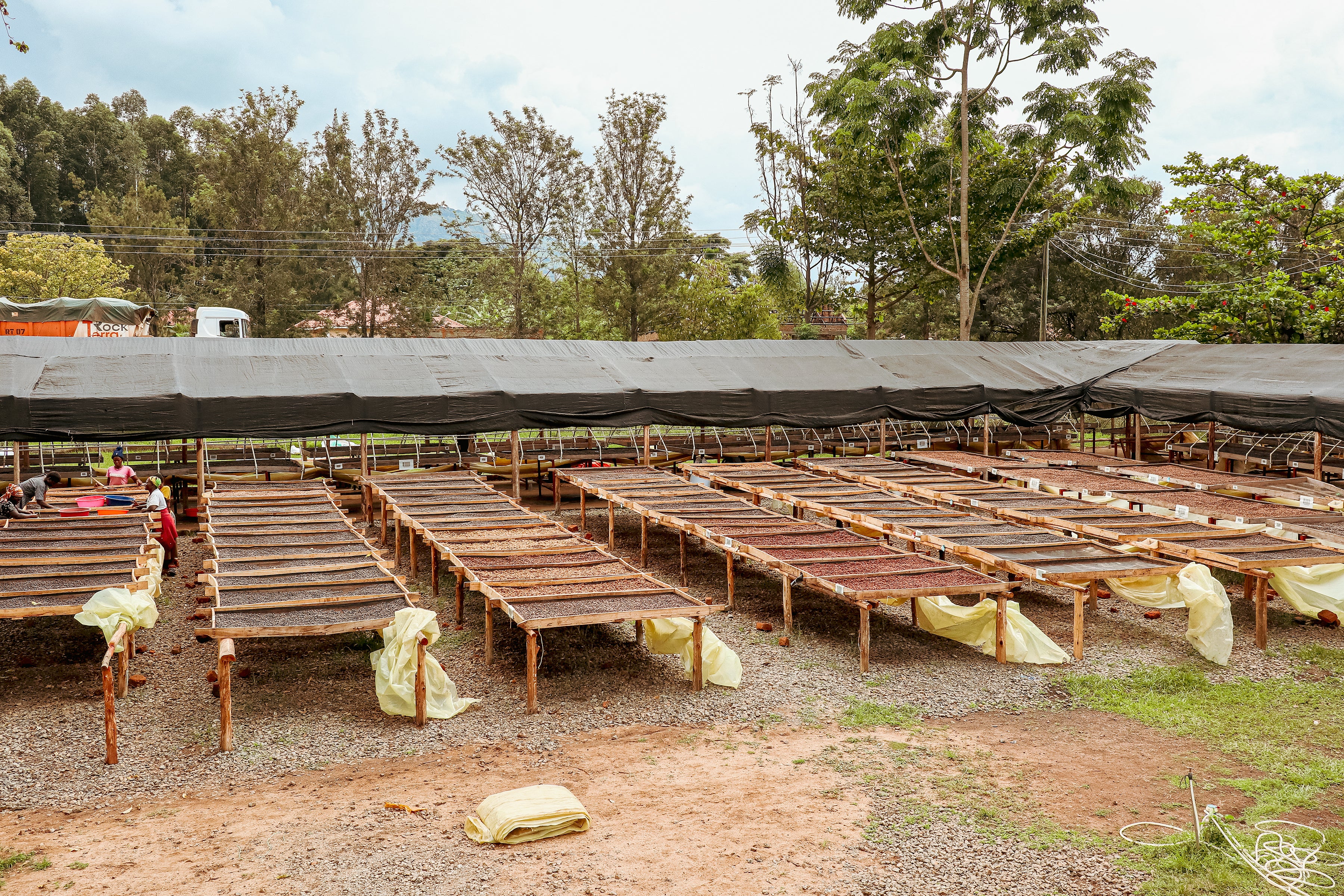 image of raised beds at Sironko Station