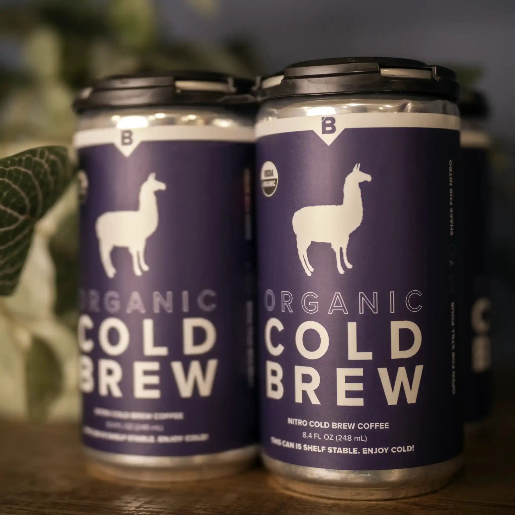 Seasonal Organic | Cold Brew 4 pack
