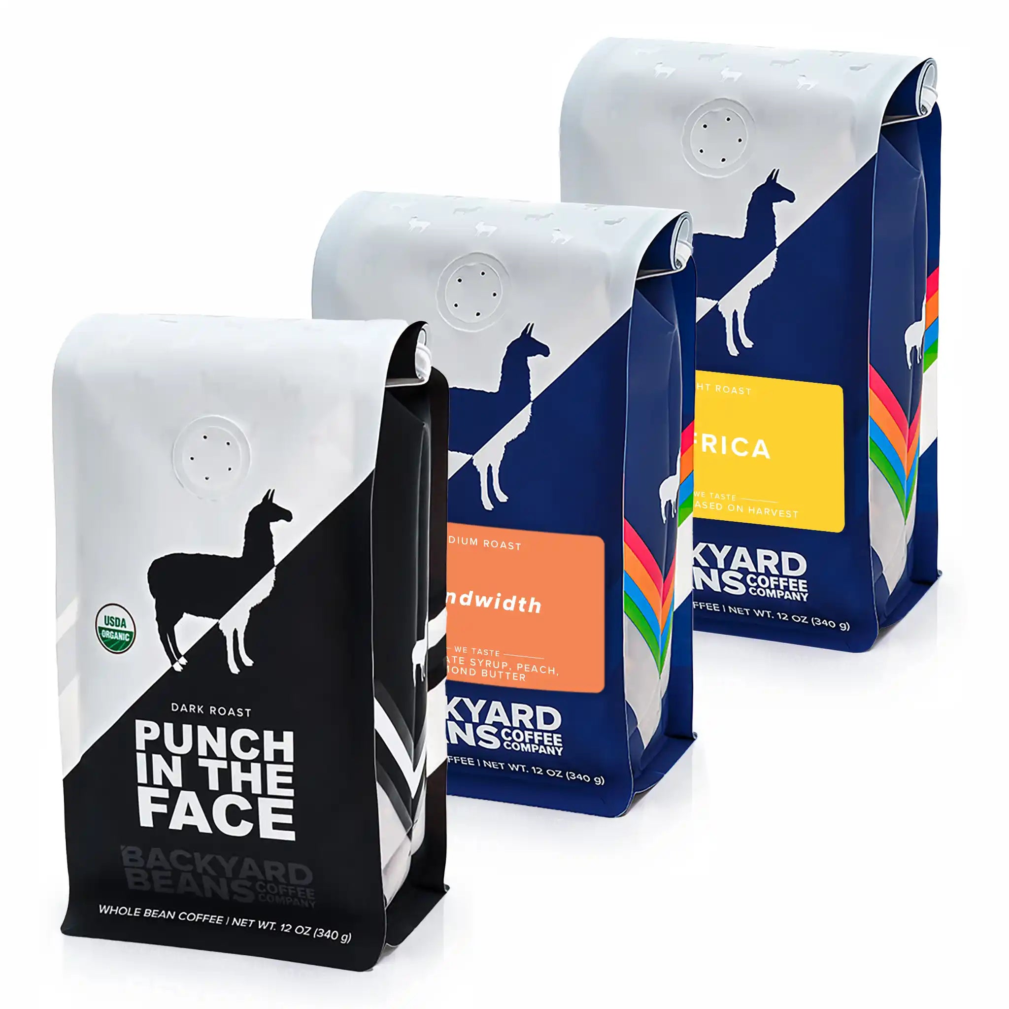 Three bags of Backyard Beans Coffee bundled, featuring a differeing spectrum of roast levels
