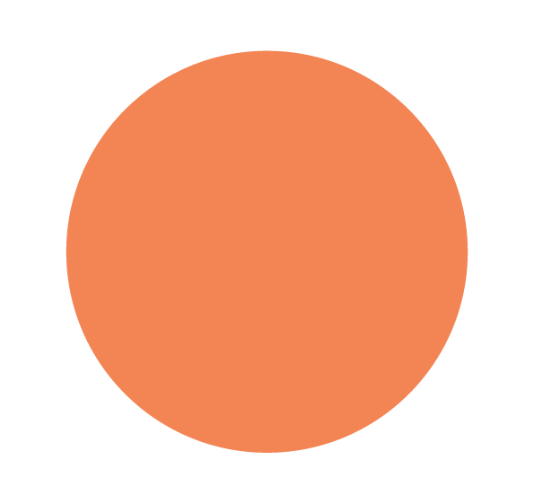 Image of orange circle.