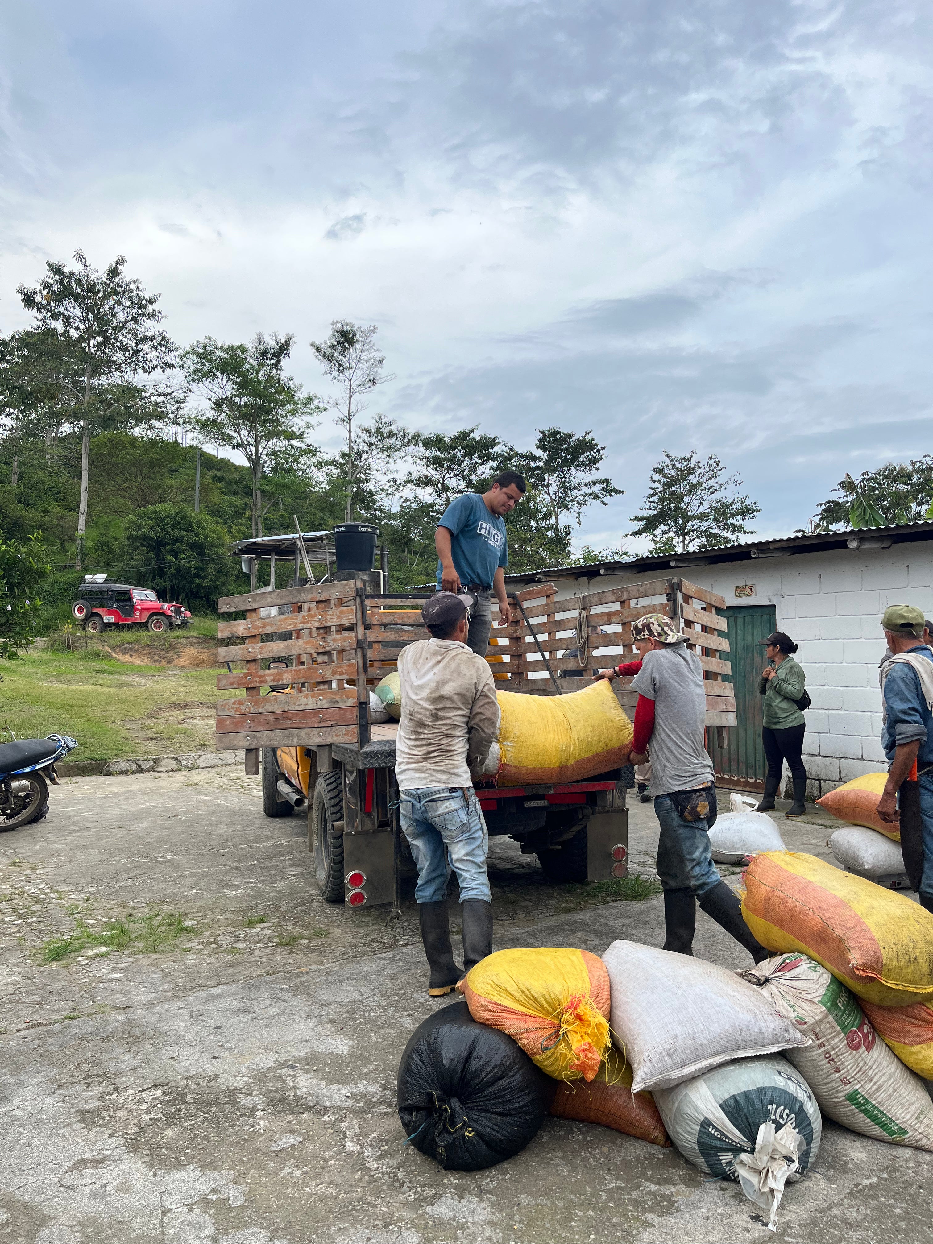 image of the harvest at El Vergel Estate