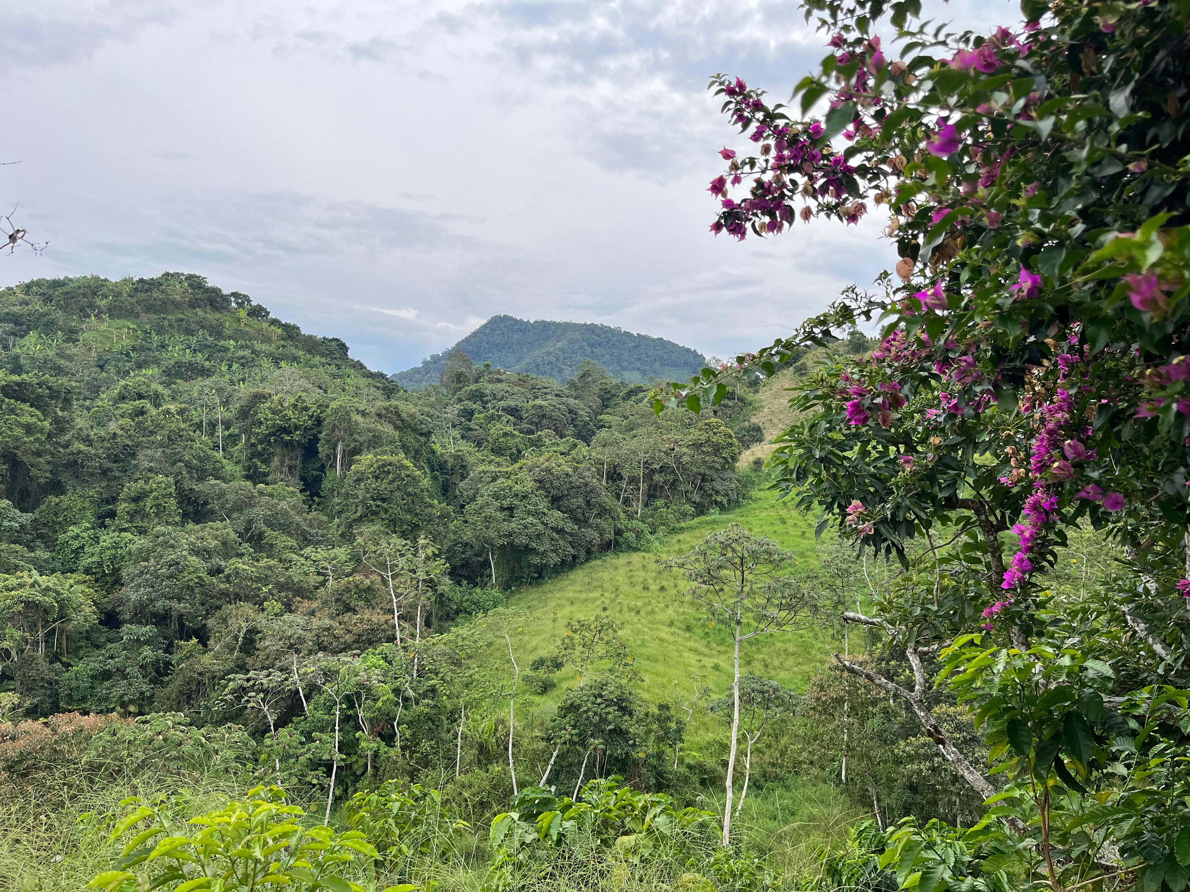 image over El Vergel farm