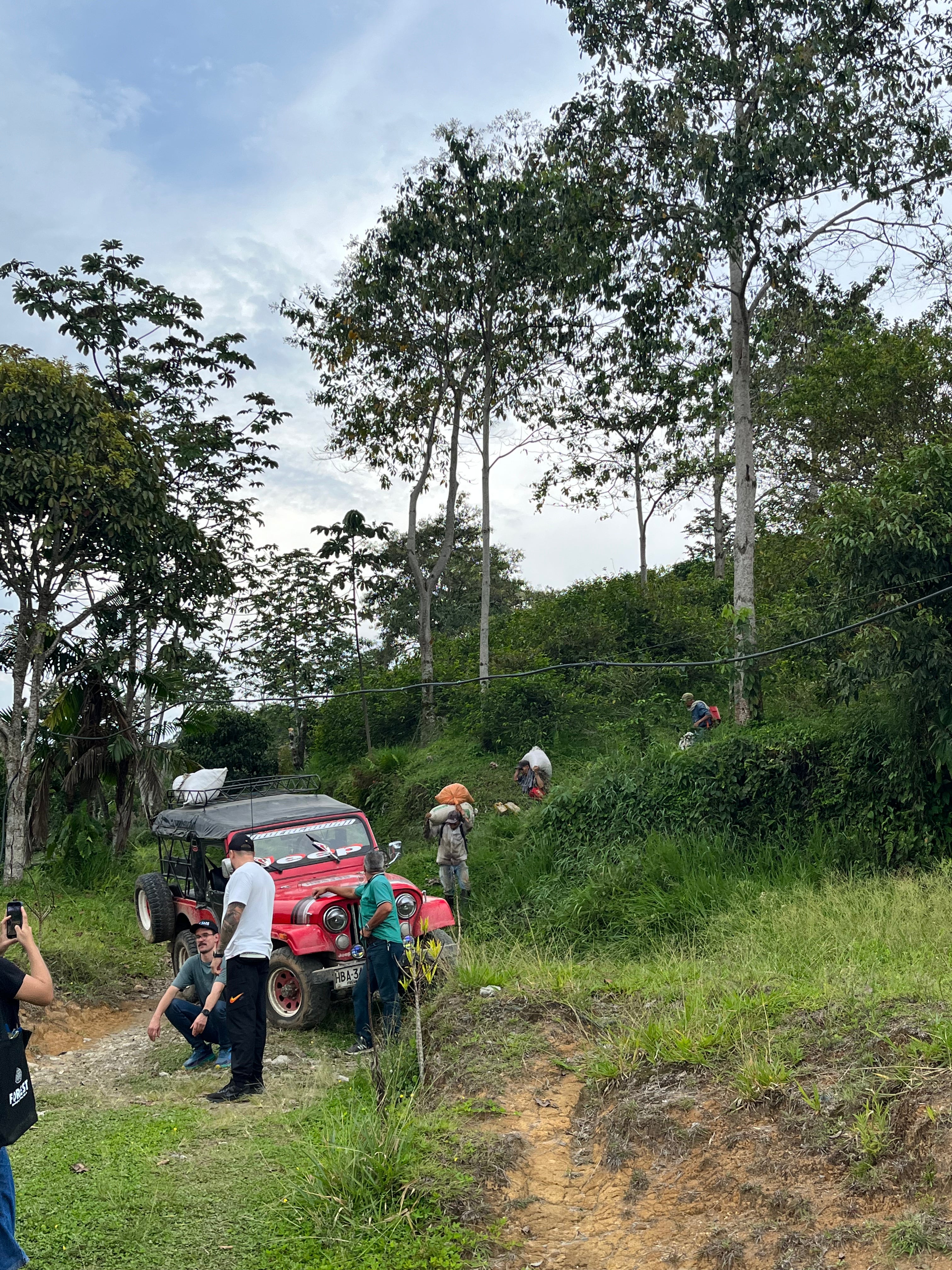 image of the harvest at El Vergel