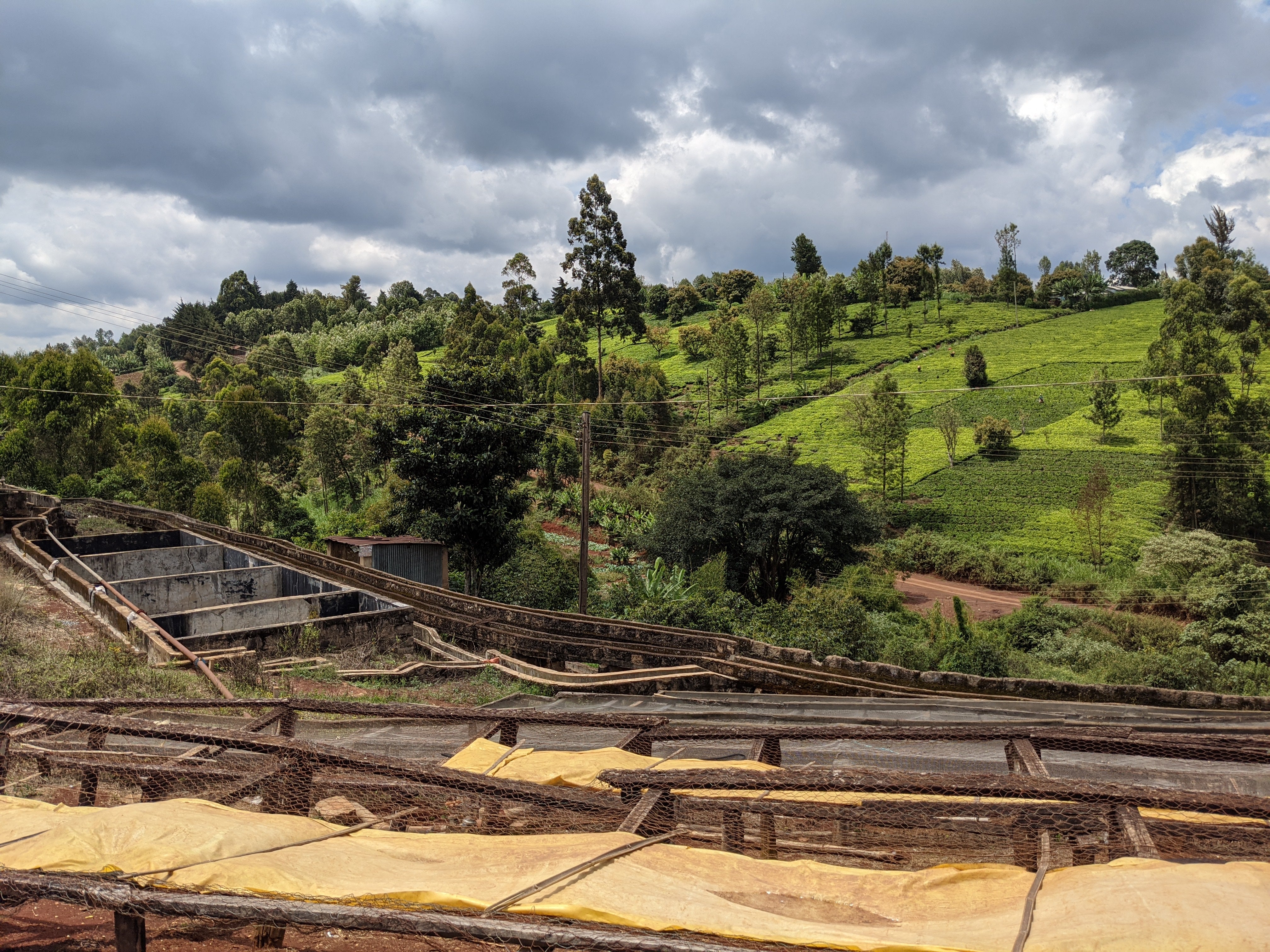 Image of the Kenya Karatu washing station