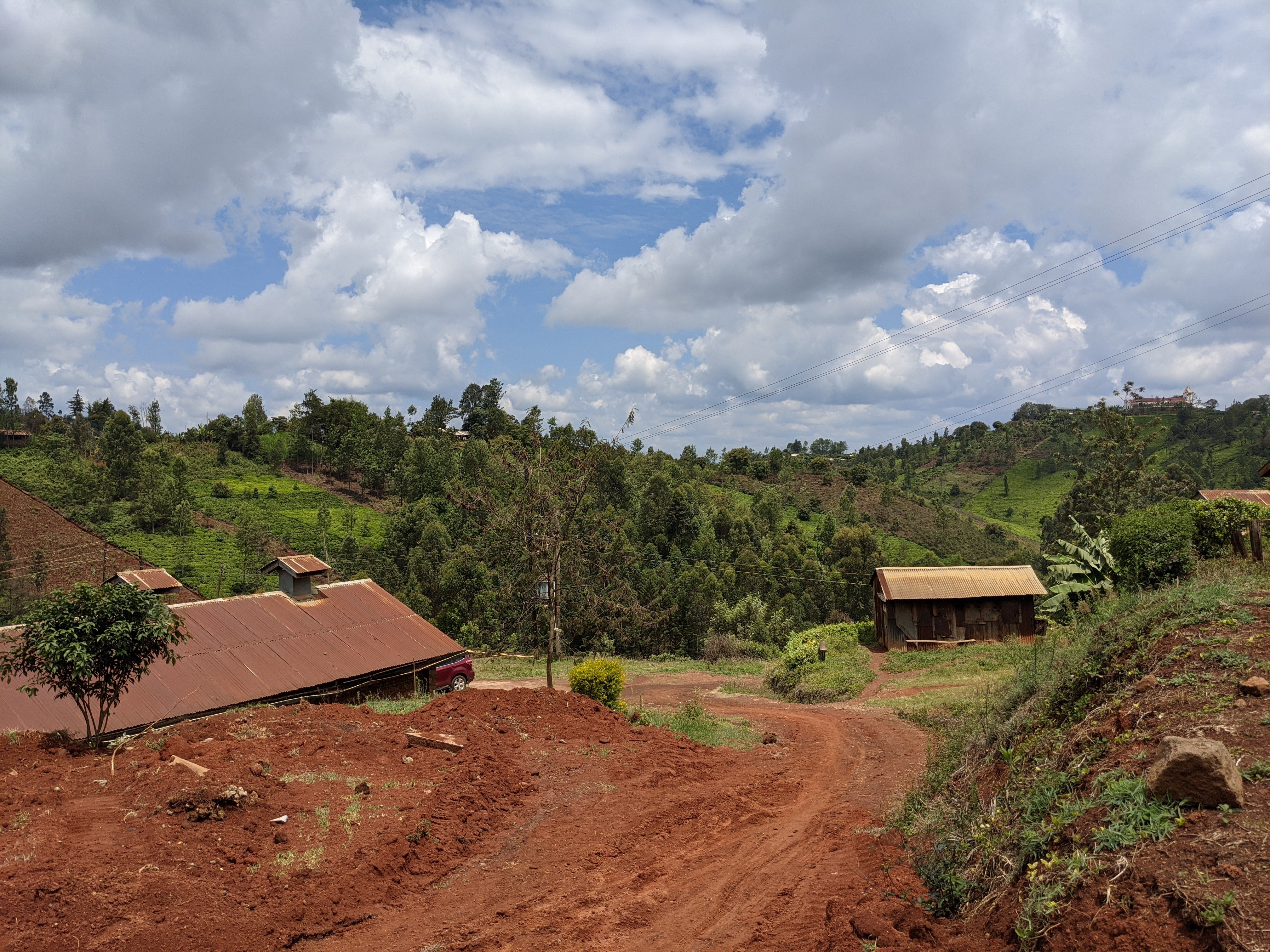 Image of Kenya Karatu washing station