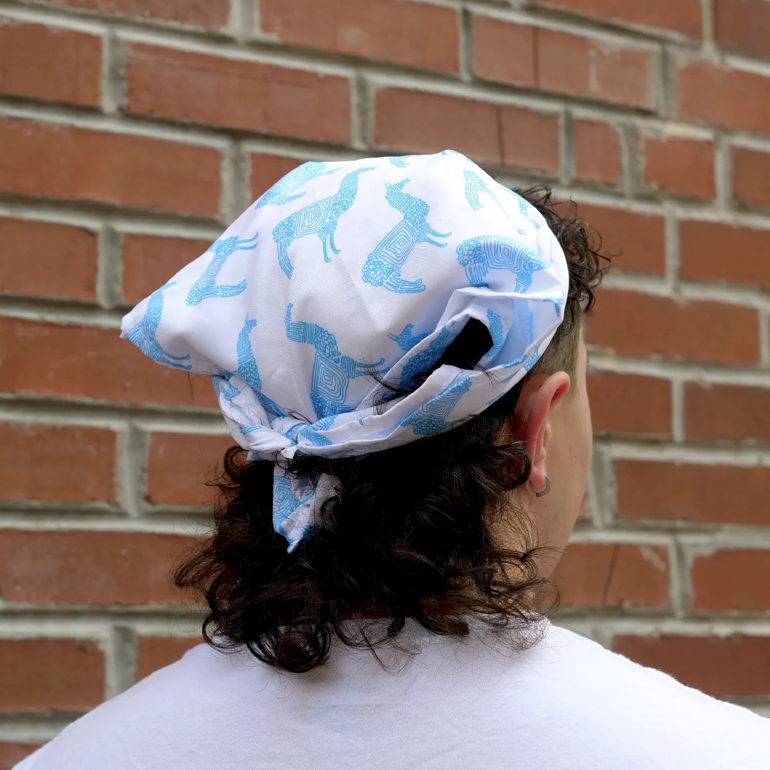 Llama Bandana
