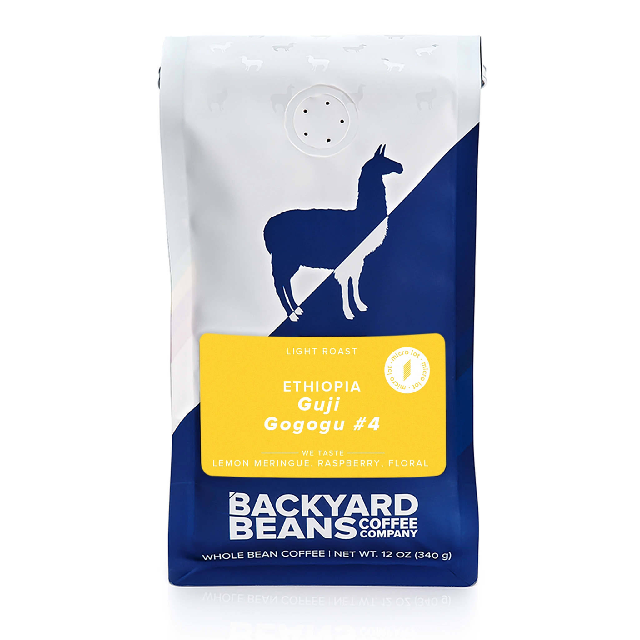 front view of retail bag