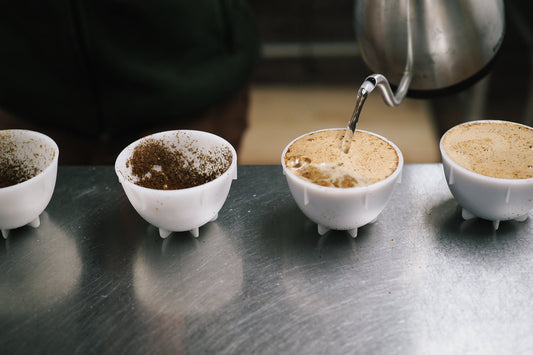 Image of coffee cupping.