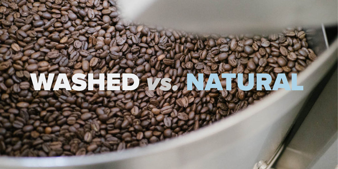 Image that says Washed vs. Natural with roasted coffee in background.