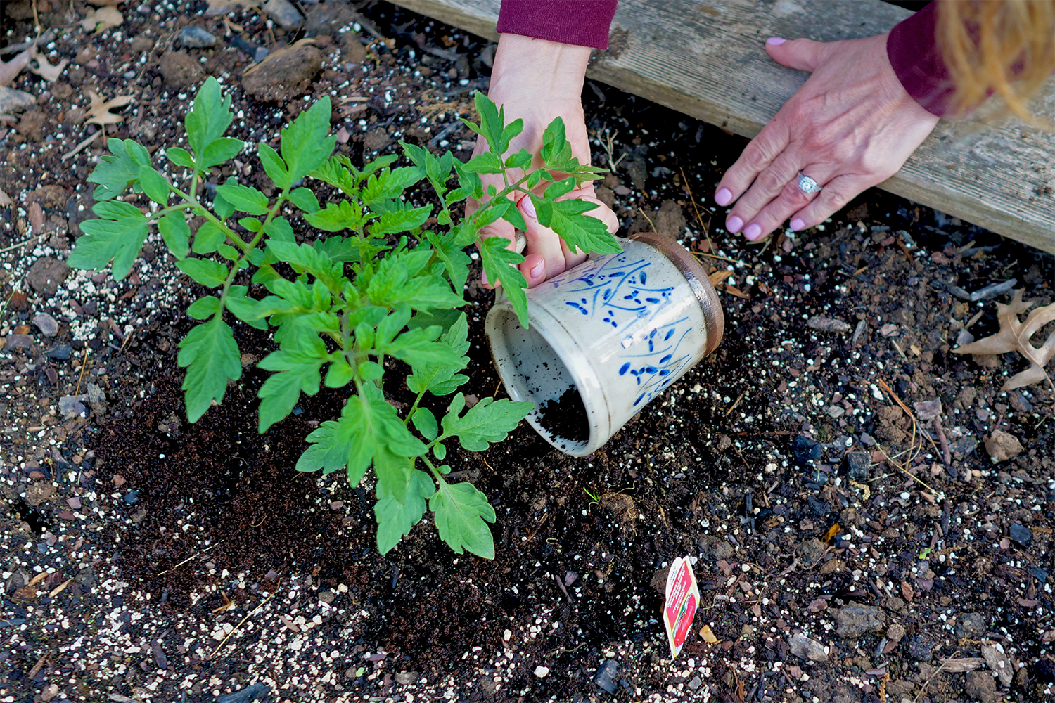 Image of adding coffee grounds to outdoor garden
