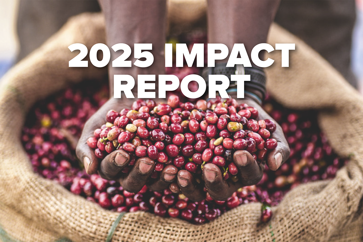 The Impact of Our Work: Reflecting on 2025, Building for 2026
