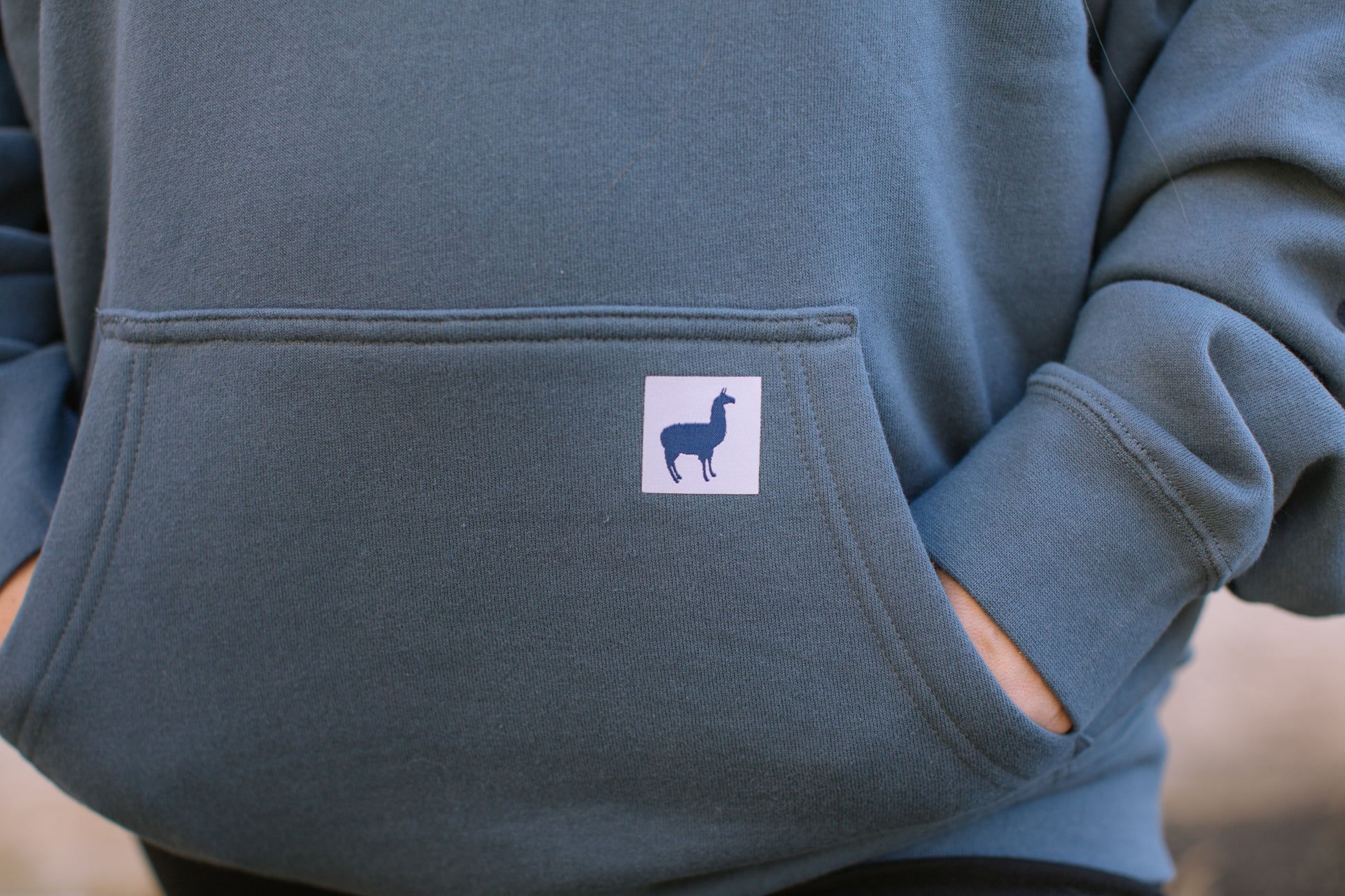 Image of Backyard Beans Coffee Co. Hoodie pocket closeup.