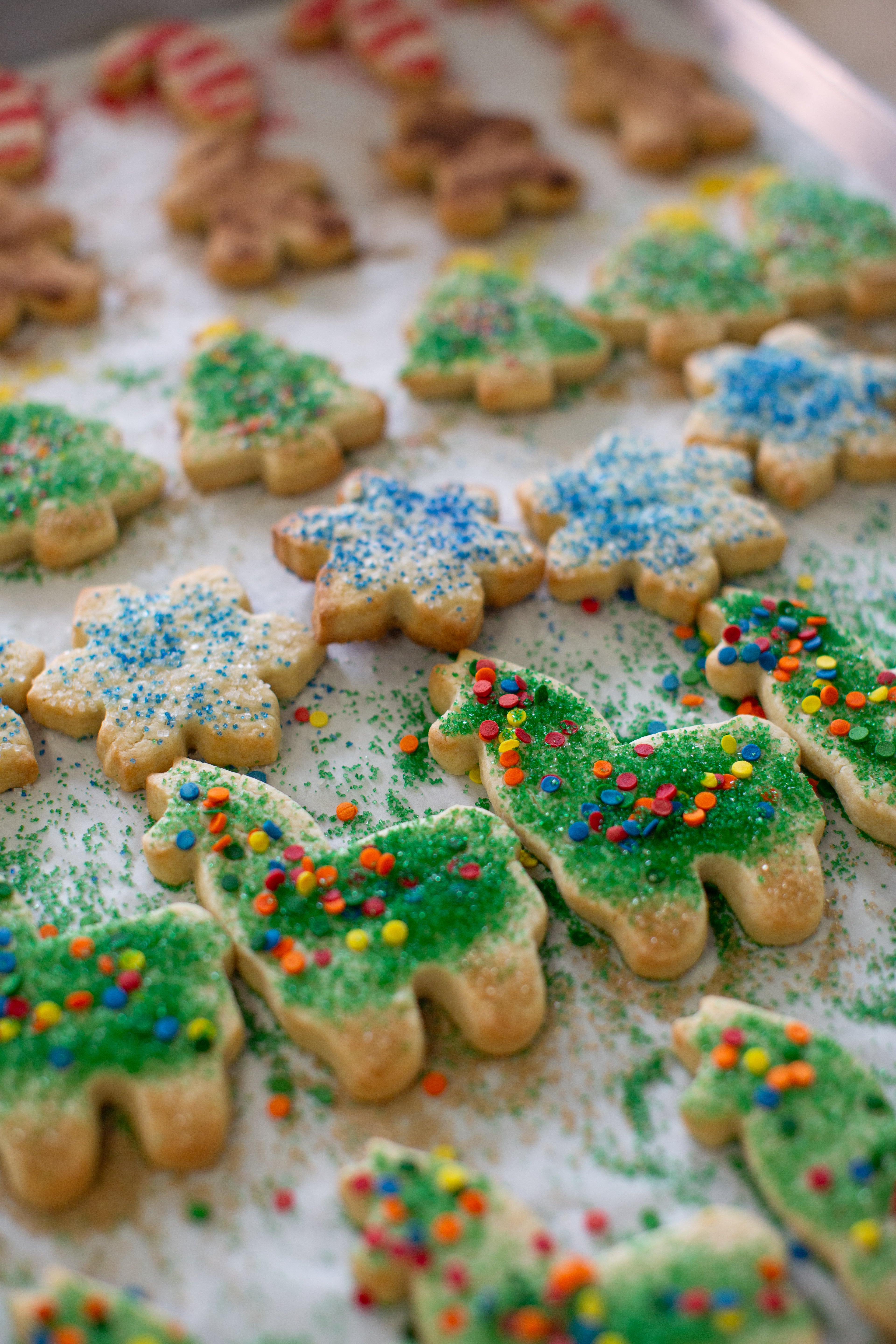 Image of holiday sugar cookies.