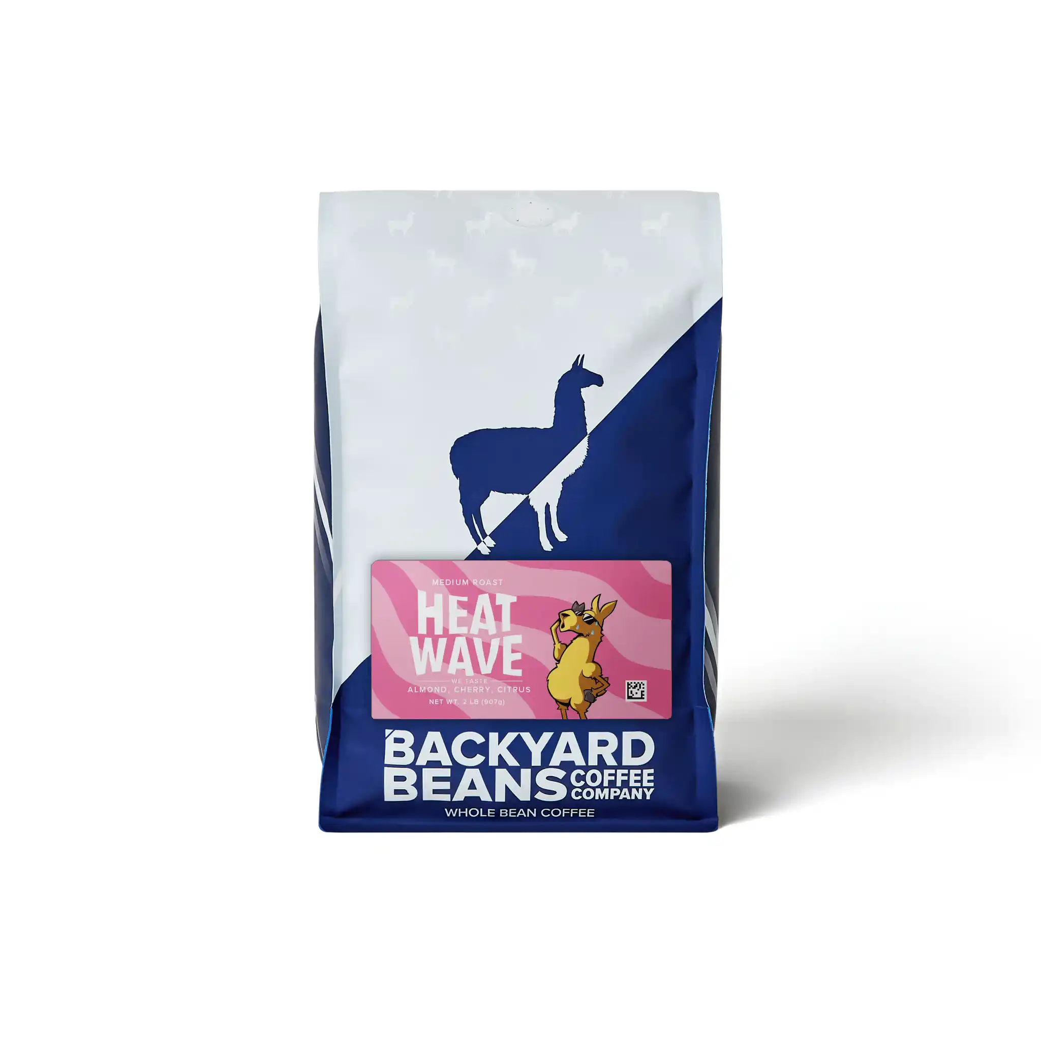 Backyard Beans coffee bag with a blue and white design on a white background