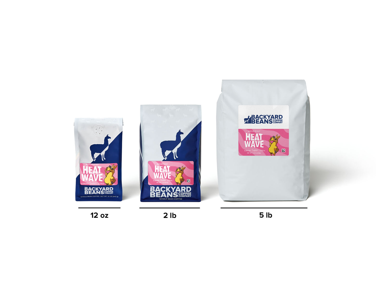 Image of coffee bag size chart.