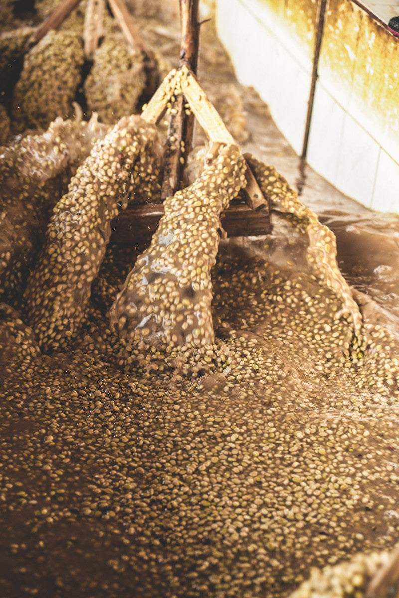 Image of washing channels at Chelbesa