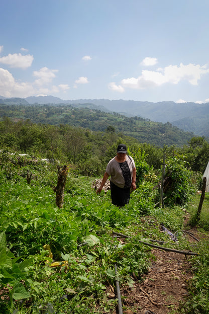 Image of women in coffee farm.