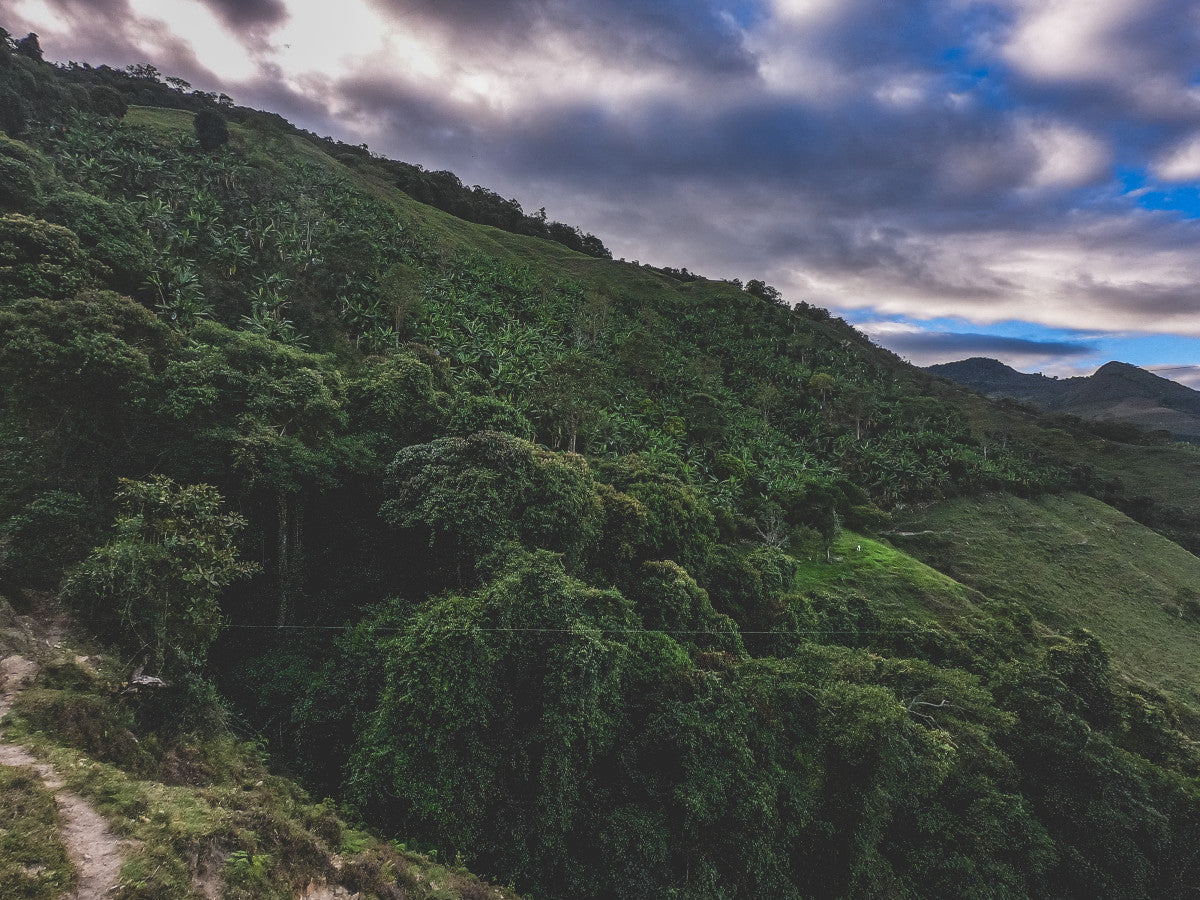image overlooking the farm