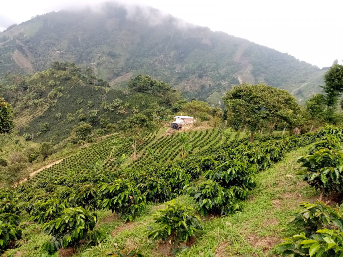 Colombia La Victoria