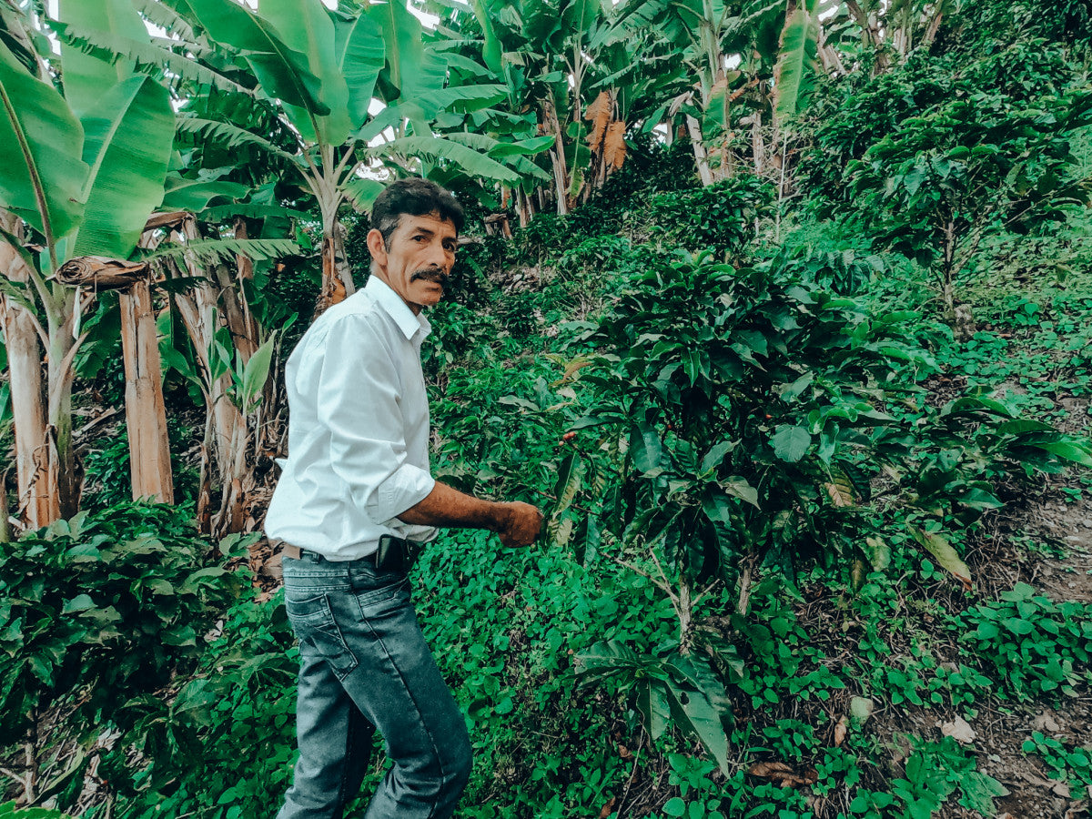 image of farmer Audon Solano in the fields