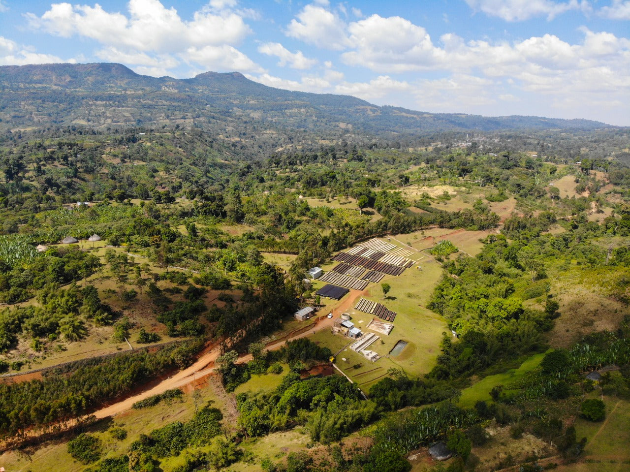 image of Hamasho washing station