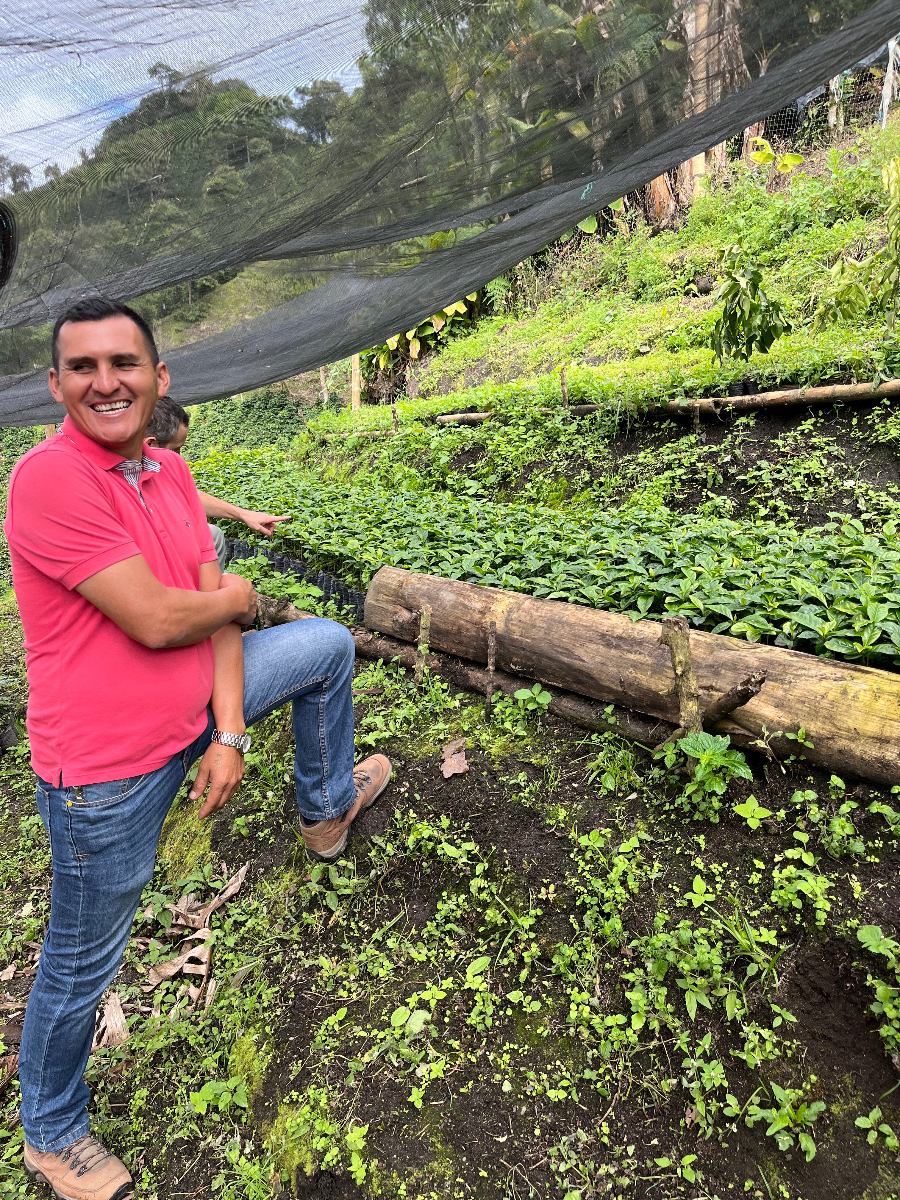 Image of Ernedis in his coffee nursery with Java and Sidra varieties