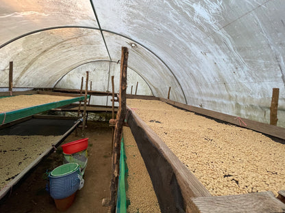 image of parchment drying