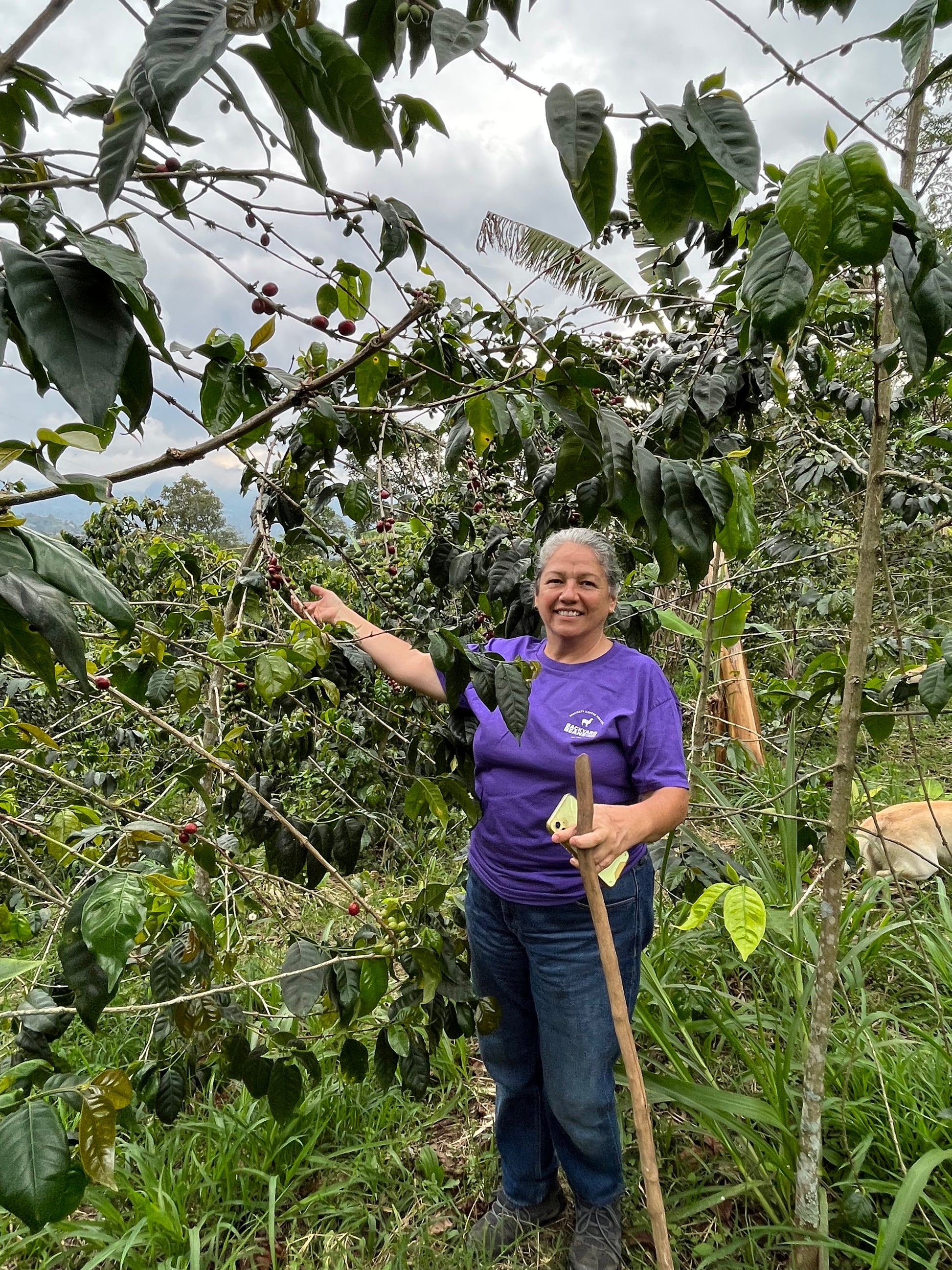 image of Martha with her coffee trees