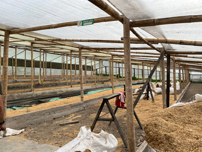 image of drying patios at Black Condor in Tolima