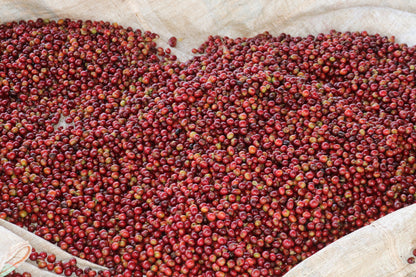 image of Kiamugumo cherries