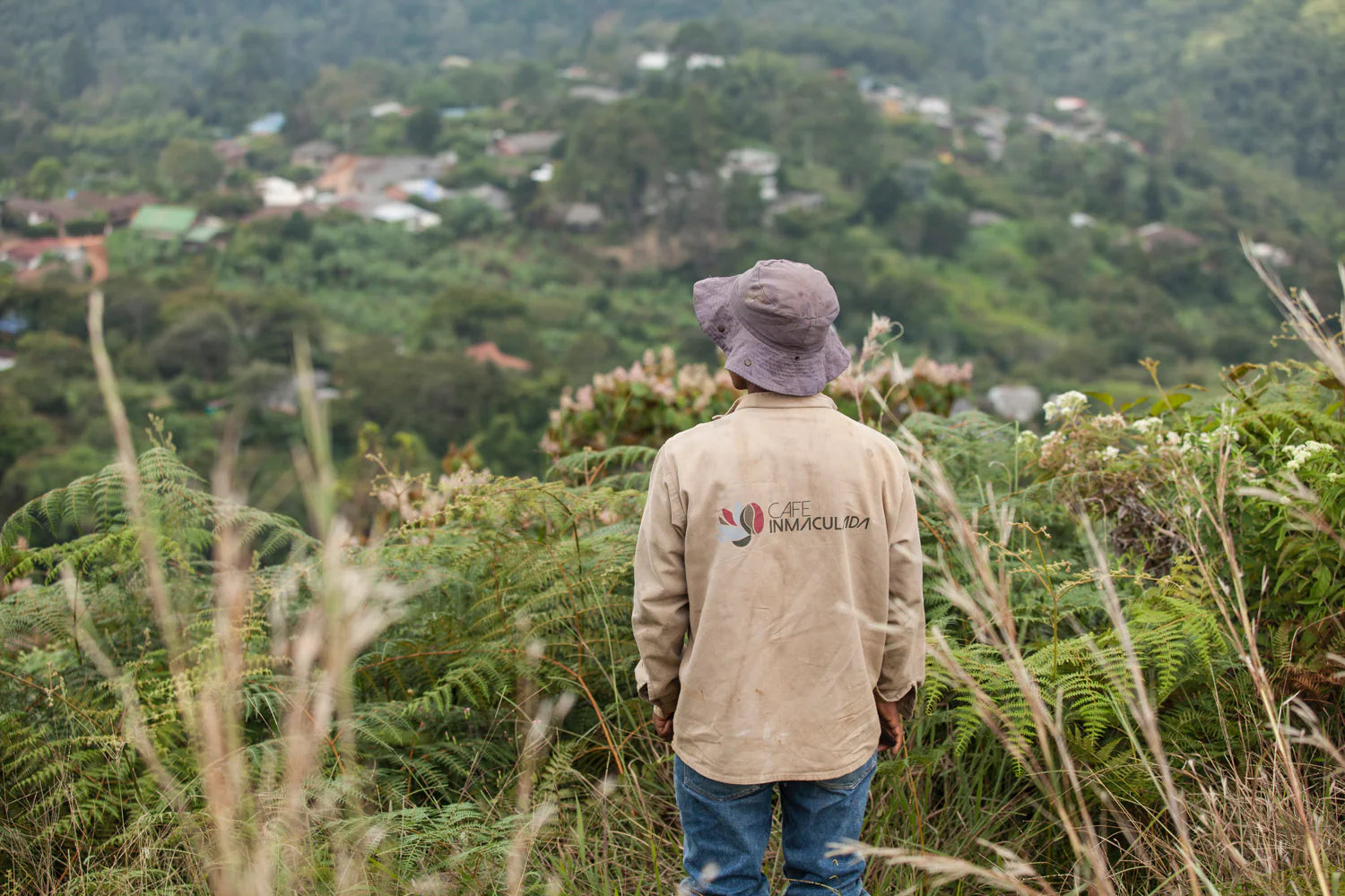 image of farmer looking out over farm