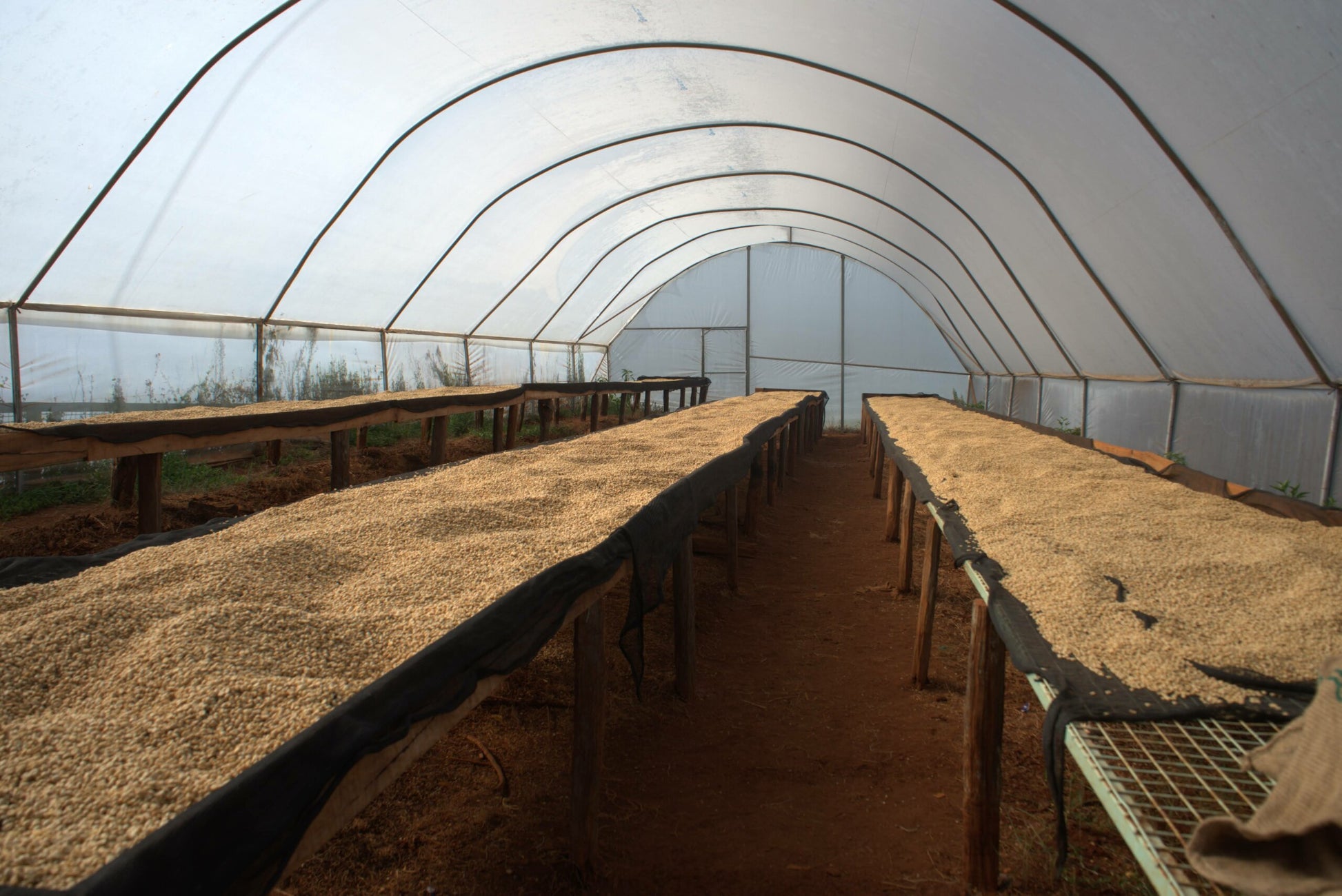 image of Karagoto drying tables