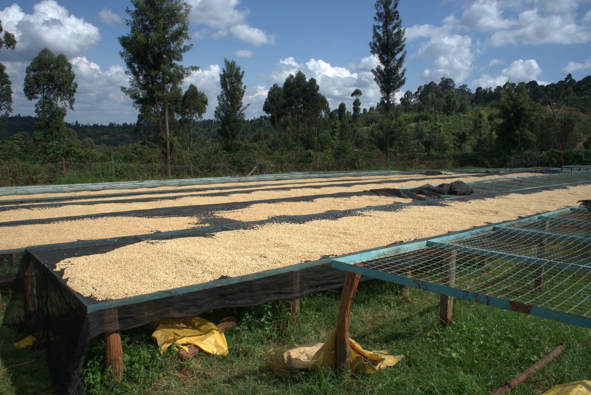 image of raised beds at Karagoto