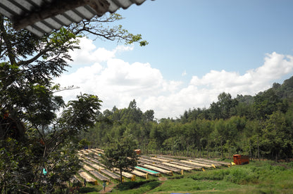 image of Yukro drying beds