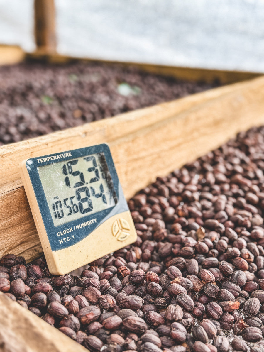 image of naturals drying