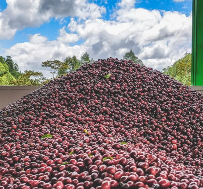 image of cherries