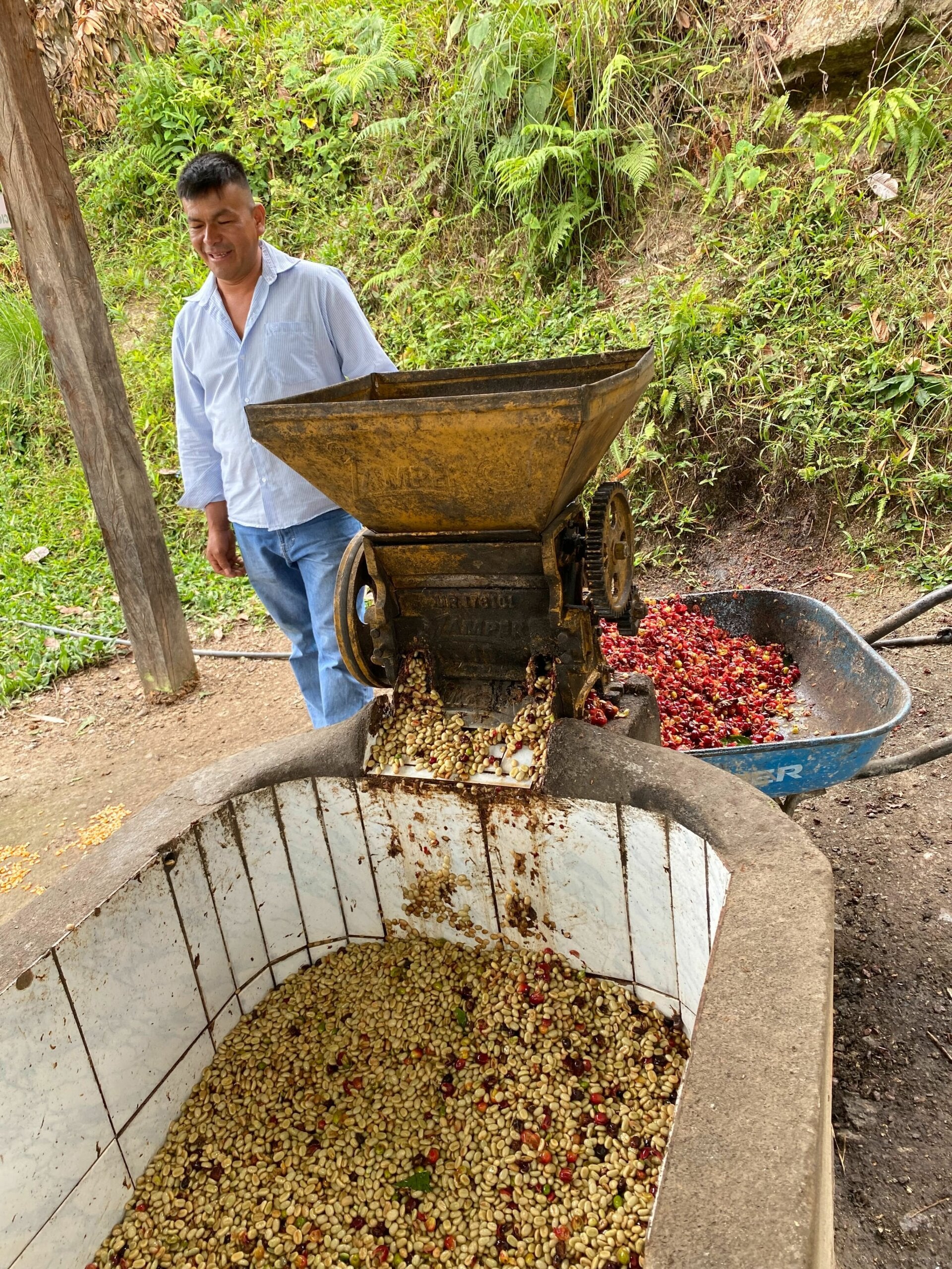 image of coffee pulping in Cajamarca, Peru