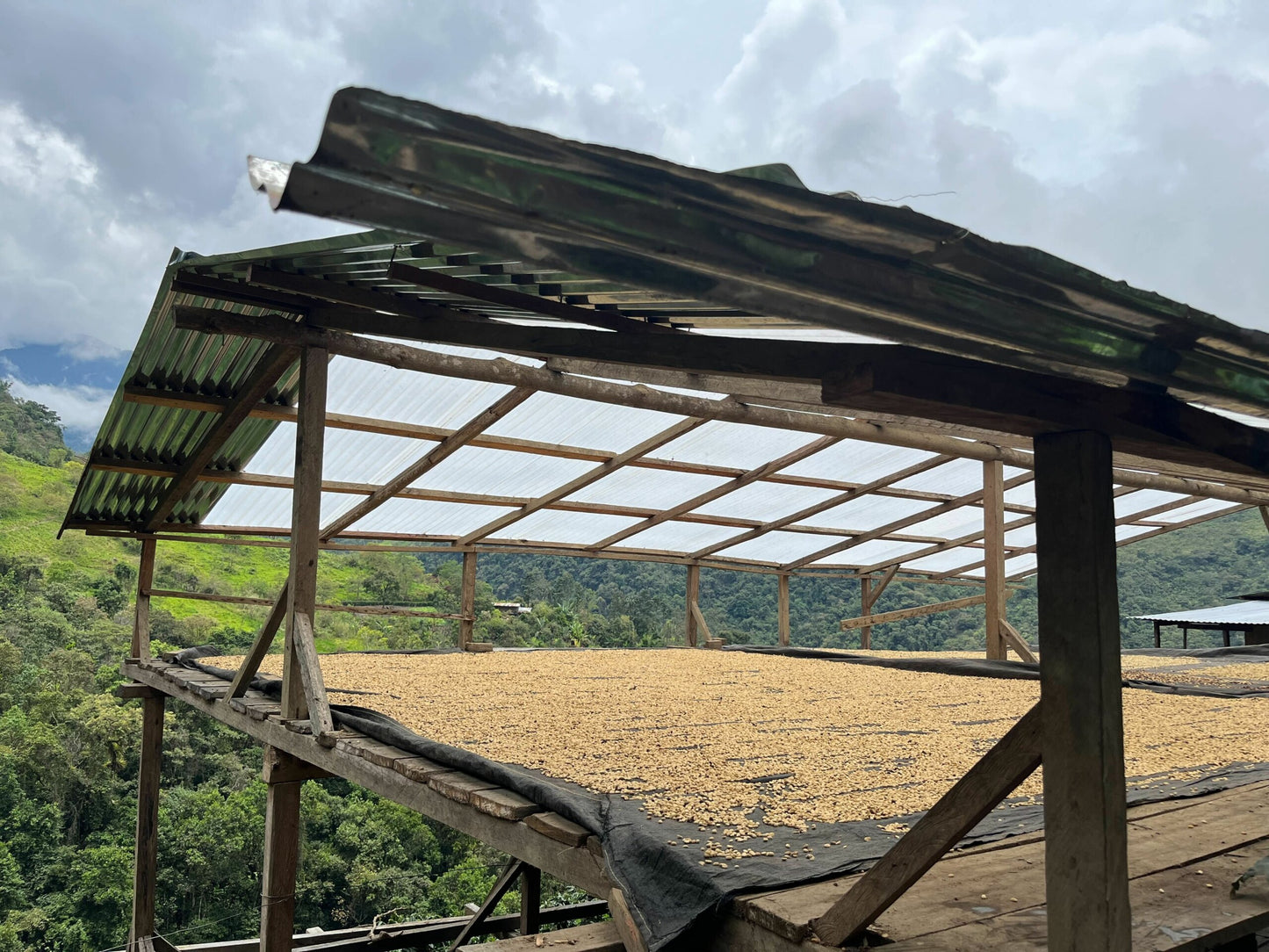 image of Peru drying setup