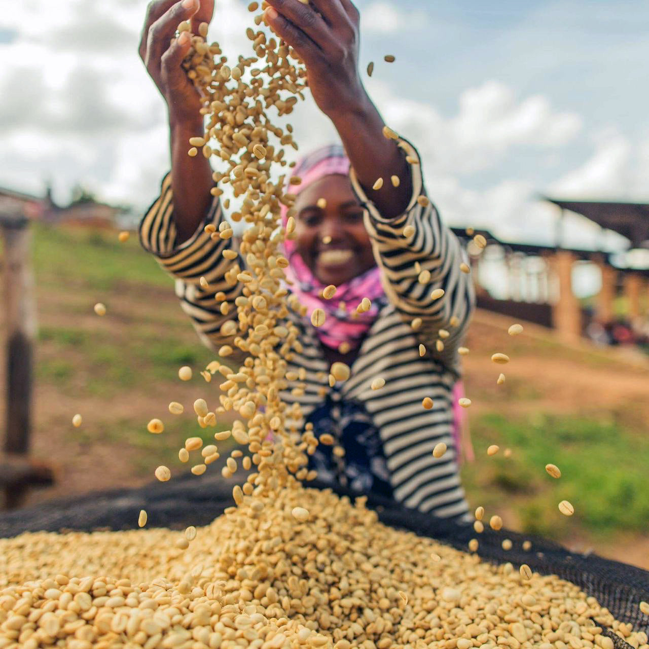 image of coffee farmer