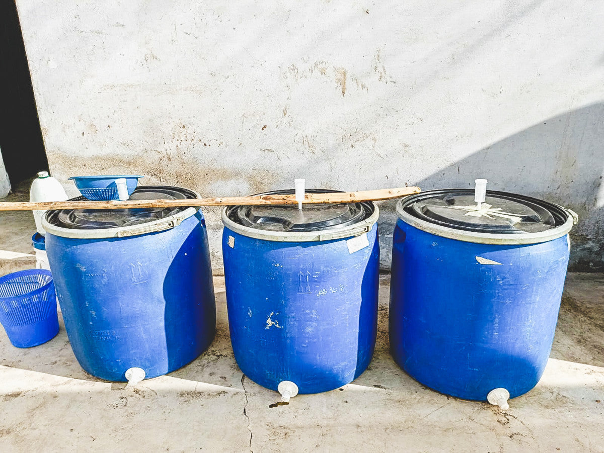 Colombia Solsticio Honey