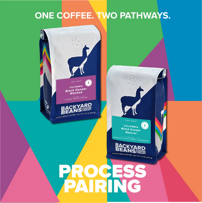 image of the two retail bags side by side