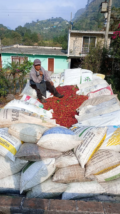 Image of farmer sitting on top of coffee bags.